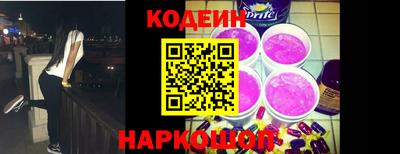 индика Жуковский