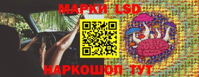 индика Жуковский