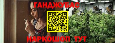индика Жуковский