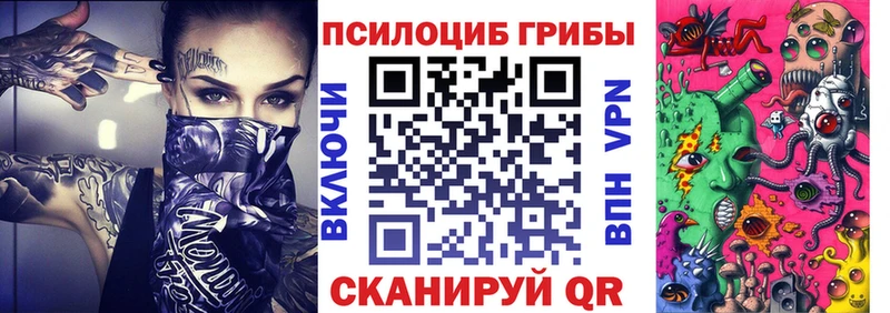 Псилоцибиновые грибы Psilocybe  Хабаровск 