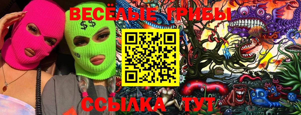 Псилоцибиновые грибы Cubensis Хабаровск