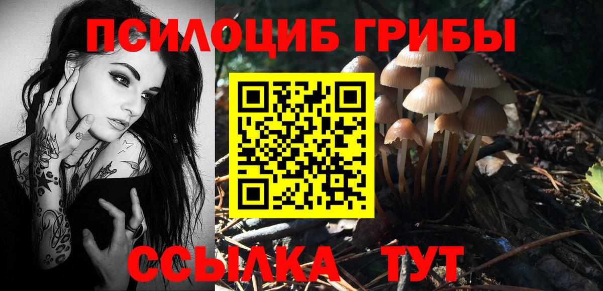 наркотики  Вход с VPN  Галлюциногенные грибы Psilocybe  Хабаровск  Галлюциногенные грибы Psilocybine cubensis 